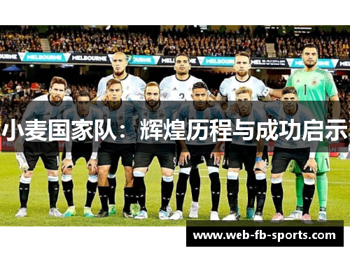 小麦国家队：辉煌历程与成功启示